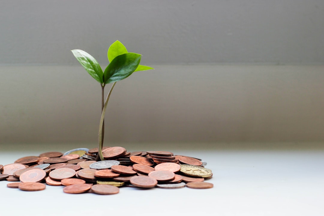 Plant growing out of a pile of coins