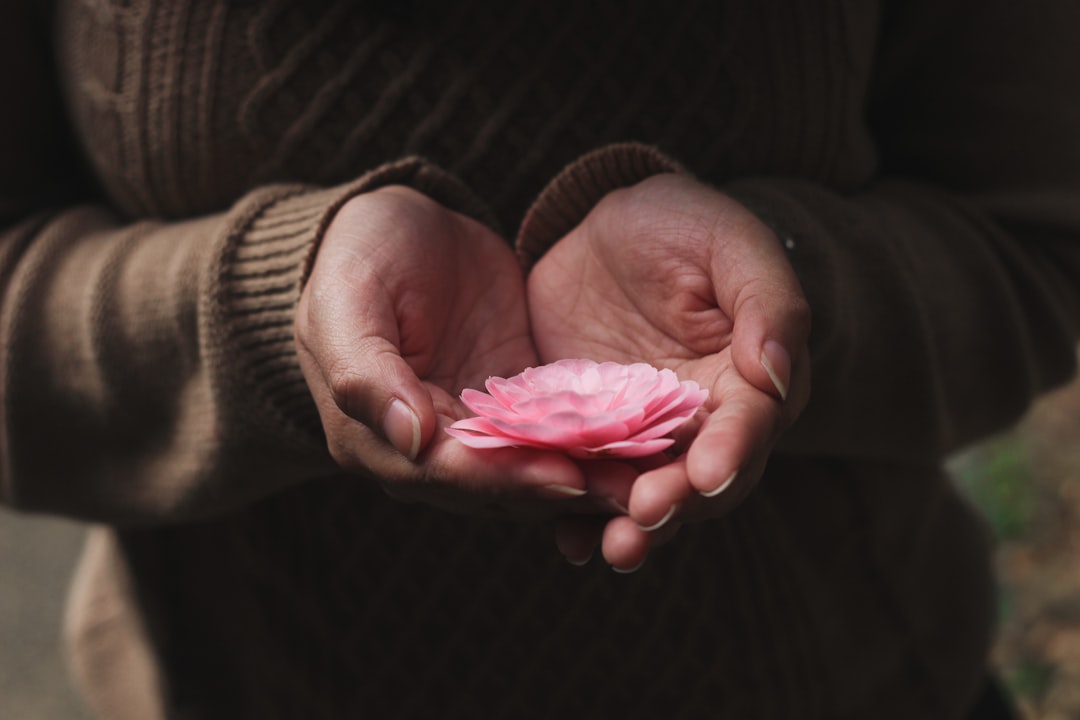 A hand holding a lotus flower